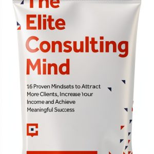 Business Consulting Success Strategies for Entrepreneurs-0